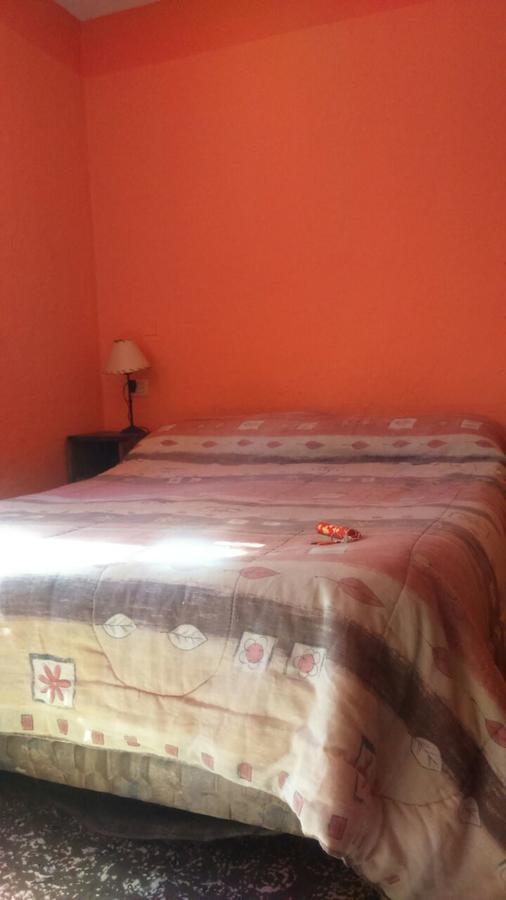 Hostel Internacional Mendoza Dış mekan fotoğraf